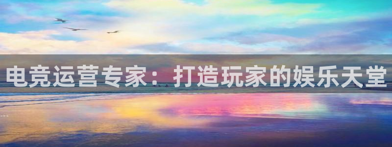 小艾电竞app：电竞运营专家：打造玩家的娱乐天堂