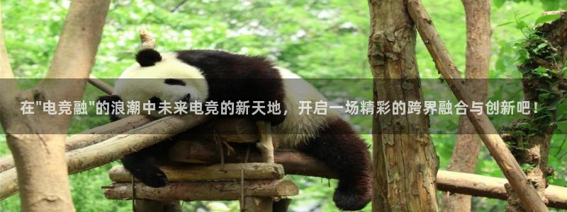 小艾电竞官网网址：在\