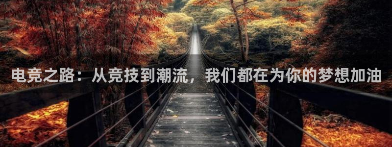 小艾电竞登陆：电竞之路：从竞技到潮流，我们都在为你的梦想加油