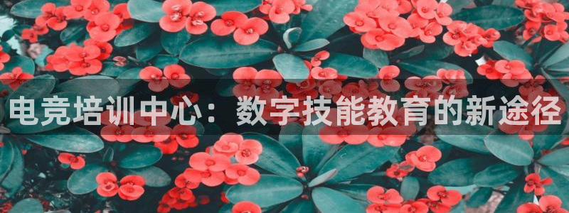 小艾电竞最厉害三个平台：电竞培训中心：数字技能教育的新途径