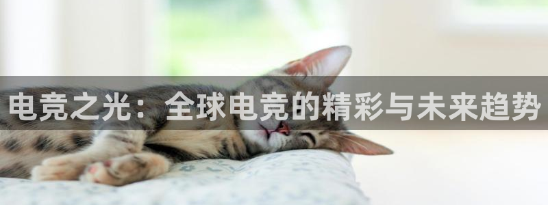 小艾电竞网页版登录：电竞之光：全球电竞的精彩与未来趋势