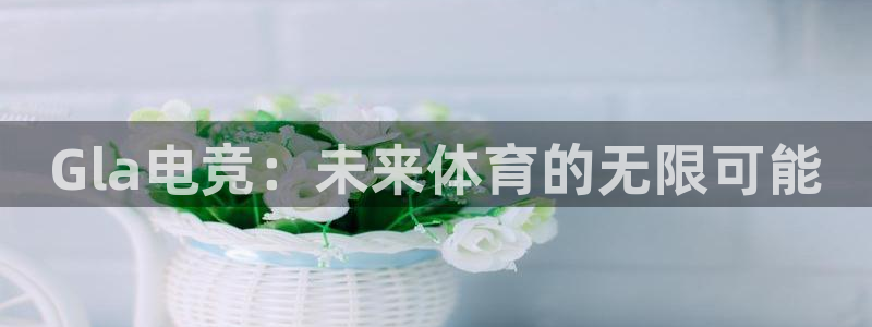 小艾电竞亚洲官网：Gla电竞：未来体育的无限可能