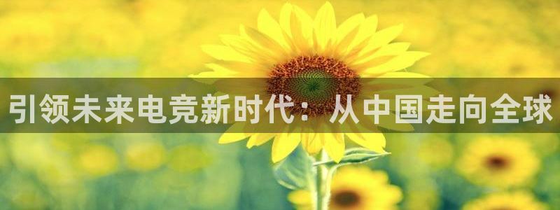 小艾电竞app下载官网：引领未来电竞新时代：从中国走向全球