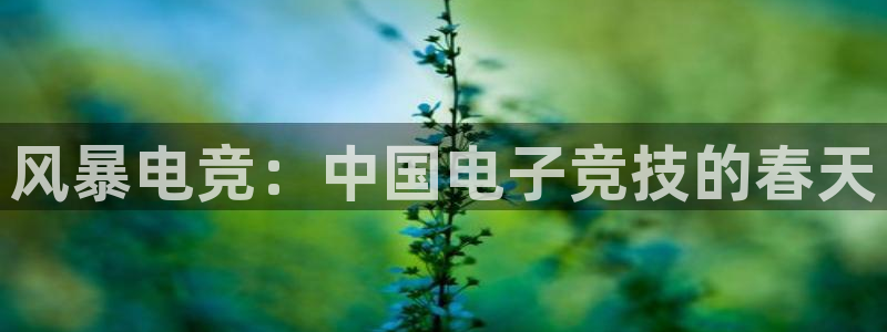 小艾电竞app下载：风暴电竞：中国电子竞技的春天