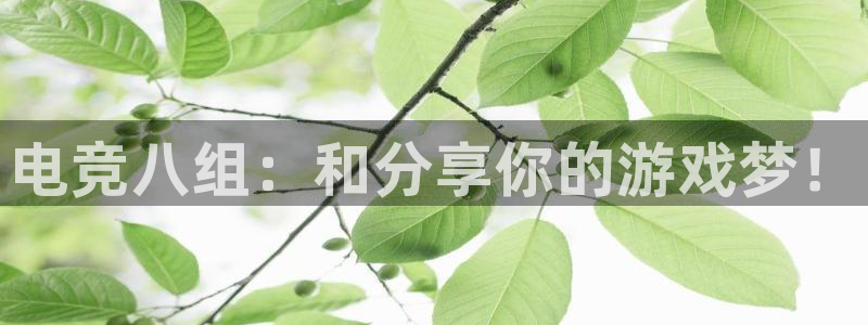 小艾电竞app：电竞八组：和分享你的游戏梦！