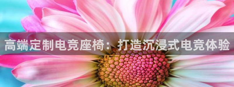 小艾电竞im电竞：高端定制电竞座椅：打造沉浸式电竞体验
