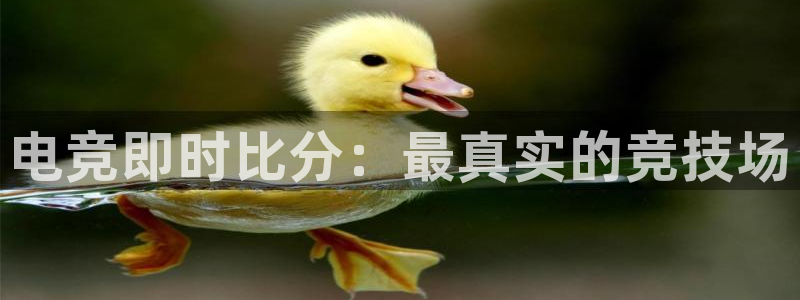 小艾电竞app下载：电竞即时比分：最真实的竞技场