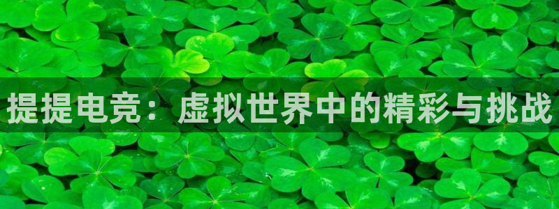 小艾电竞下载官网入口：提提电竞：虚拟世界中的精彩与挑战